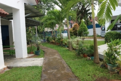 GardenEarly