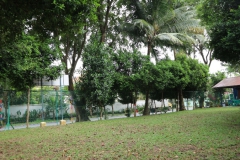 GardenPlayGround